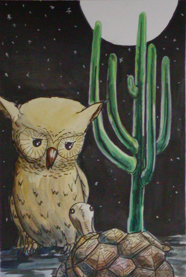Owl Riding Tortoise Owl, Tortoise by ArchIstrator on DeviantArt