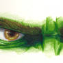 In the Eyes of the Hulk