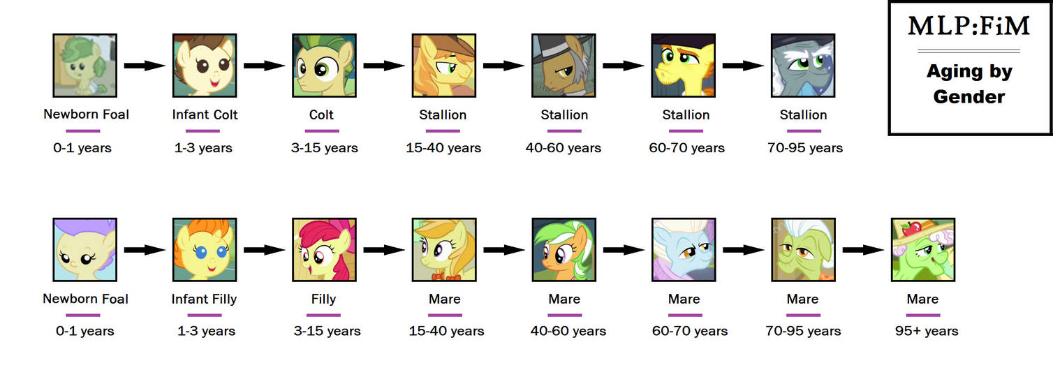 Mlp Getting Old MLP:FiM - Aging by Gender by UtopianPeace on DeviantArt