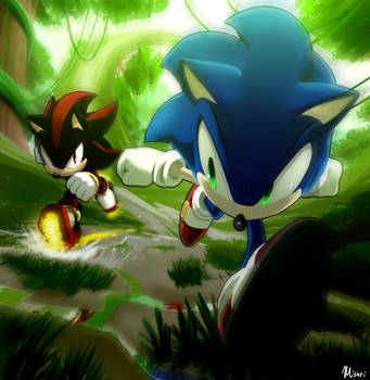 The Ultimate Lifeform vs Shadow