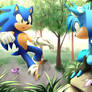 Commission: Sonic and Zenit