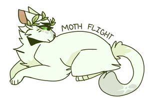 moth lady