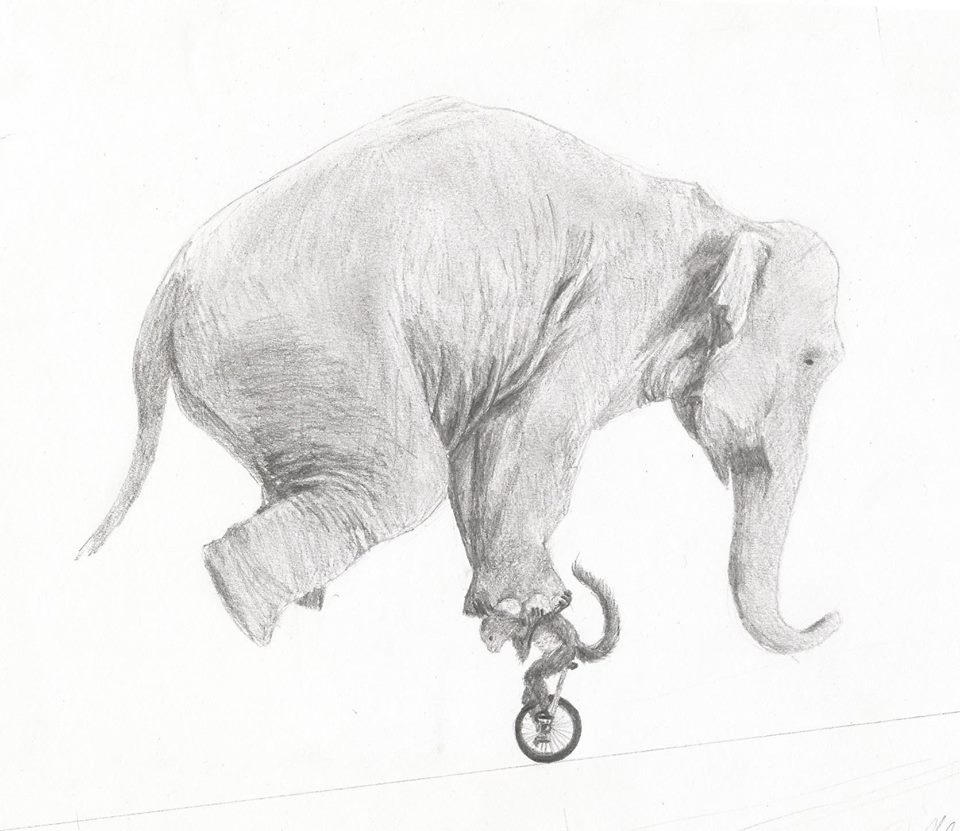 An Elephant riding a Monkey riding a Unicycle. by Joepearse on DeviantArt