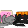 Nyan Cat and Tac Nayn