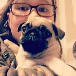 Pug Love