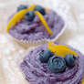 Blueberry Cupcakes