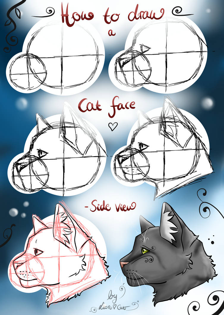 How to draw a cat face - Side view by LionHeartCat on DeviantArt