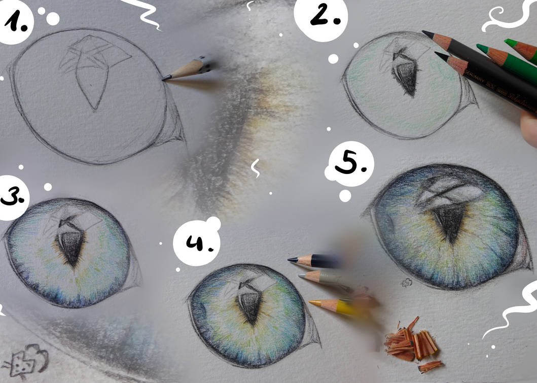 How To Draw A Cat S Eye With Colored Pencils By Lionheartcat On Deviantart How To Draw A Cat S Eye With Colored Pencils By Lionheartcat On Deviantart