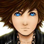 Sora Face