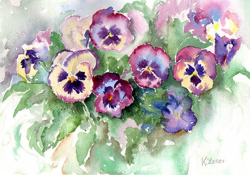 Pansies from life