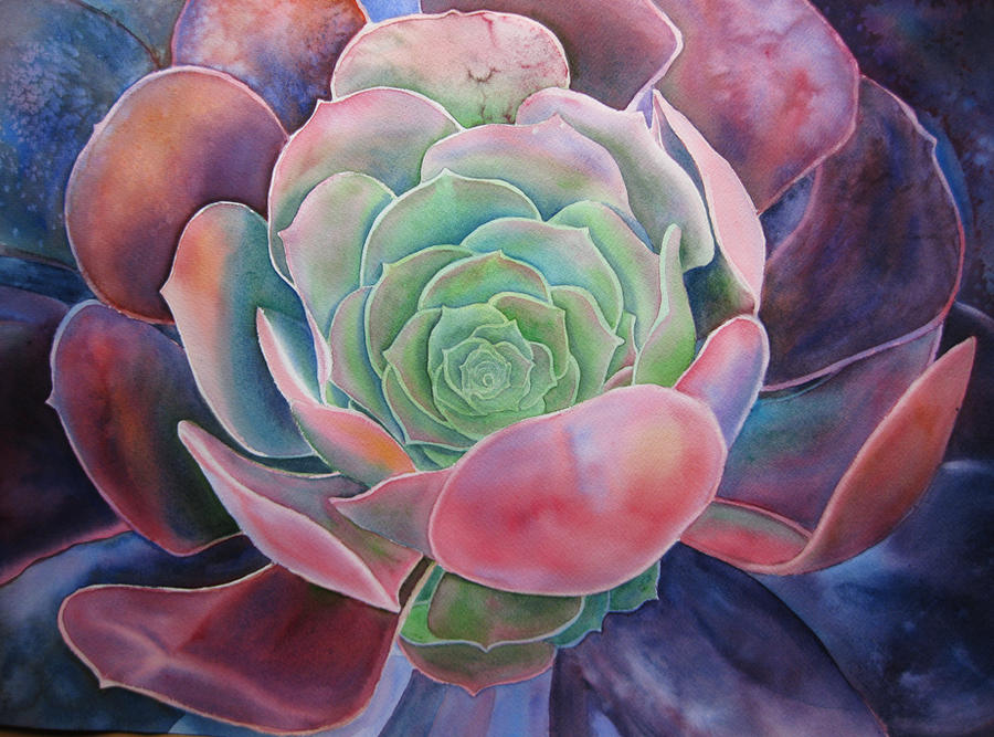 Succulent 2