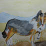 Collie by Hazel