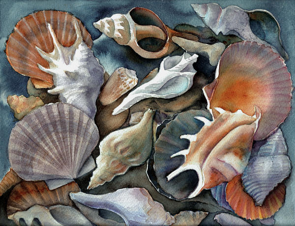 Box of shells I by KarinZeller on DeviantArt