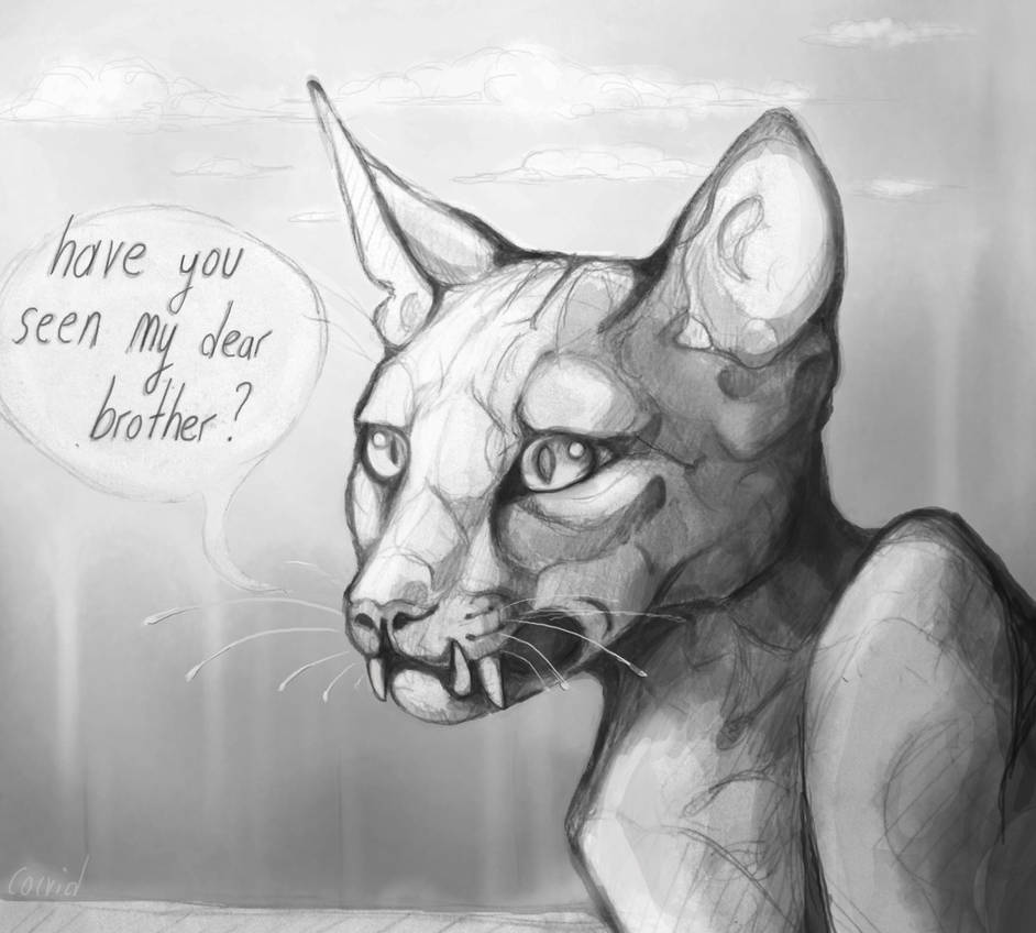 Have You Seen My Dear Brother? by ConfusedDante on DeviantArt