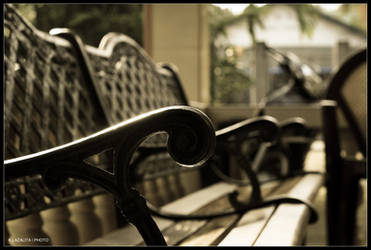 Bench bathing the afternoon sun