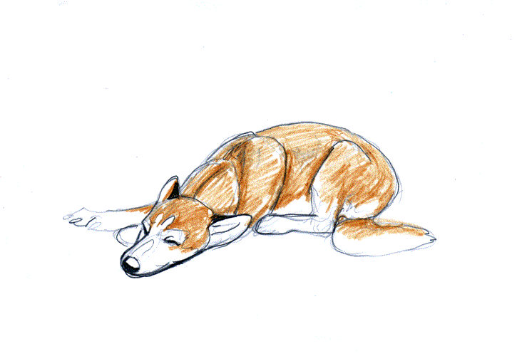 Sleeping dog animation by TheUrbanFox on DeviantArt Sleeping dog animation by TheUrbanFox on DeviantArt