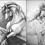 Sketchbook: Horses