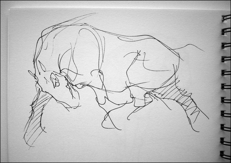 Sketchbook: Horse Gesture