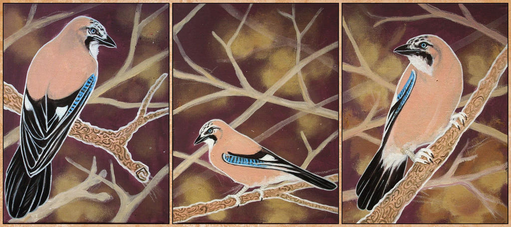 Jay Bird