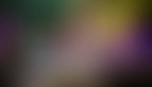 Kitten With Purple Flowers