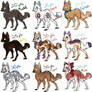 Canine Adopts 1 (2 left)