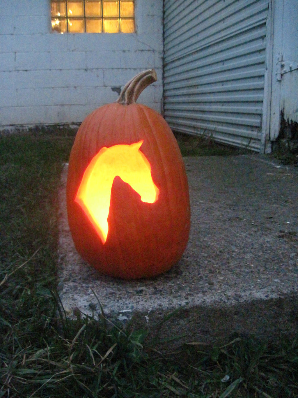 Horse Head Pumpkin by dancingdots on DeviantArt