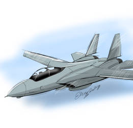 F-14 Tomcat 