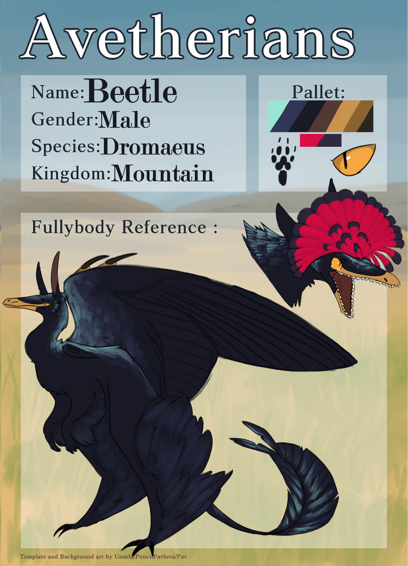 Beetle Ref