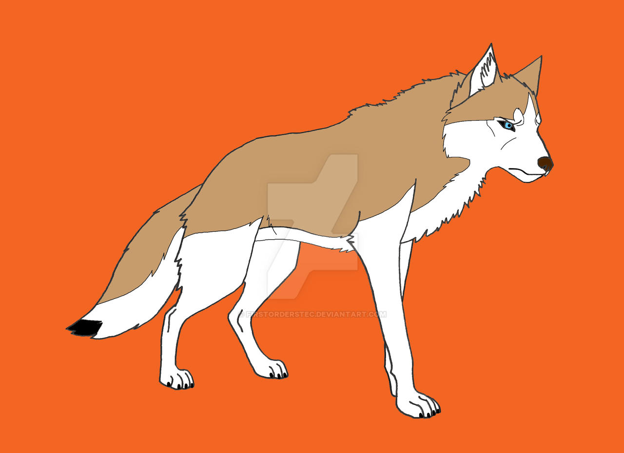 siberian husky Moden Canady by FirstOrderStec on DeviantArt