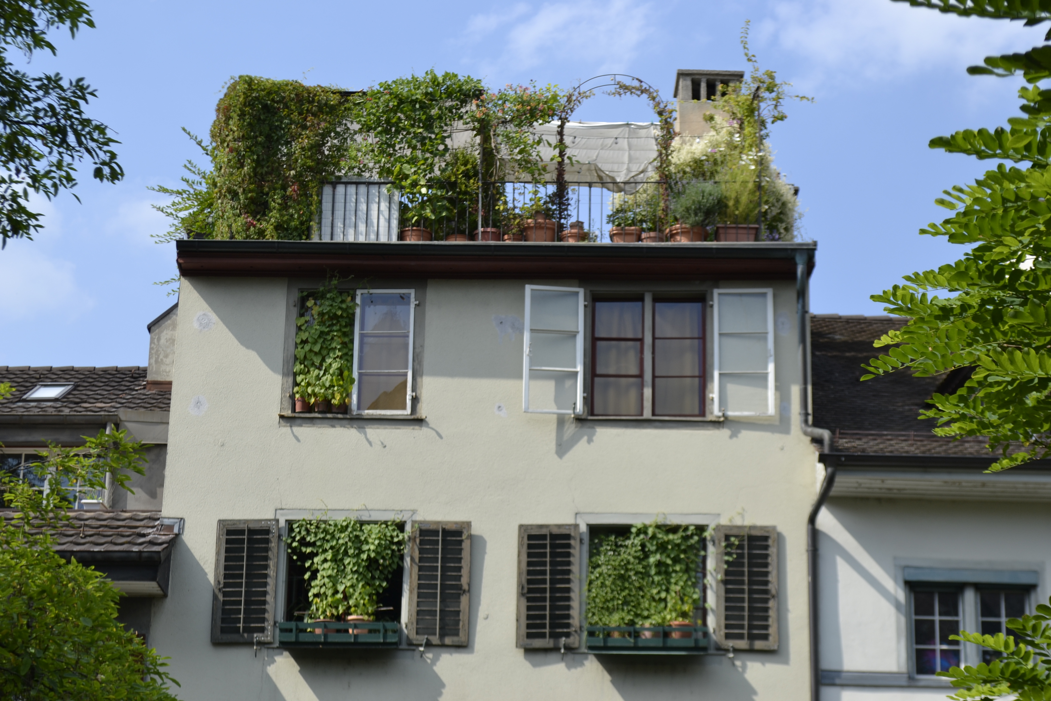 Random housetop-garden in Schweiz