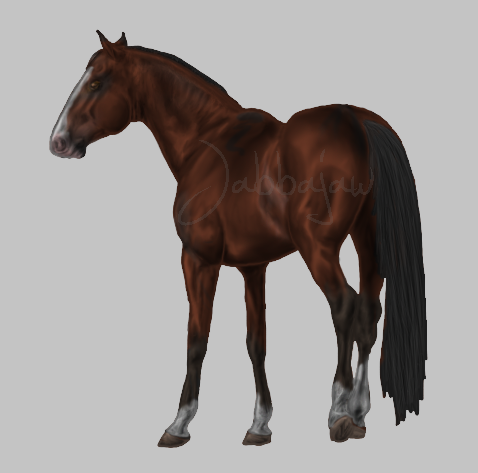 Trakehner colt