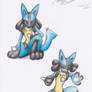 Rucario!