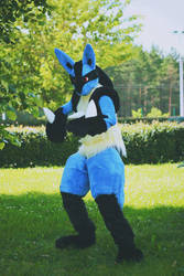 Lucario Cosplay