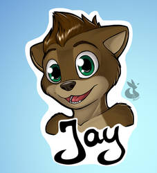 Commission: Otter Jay