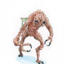 Seth Brundle / Brundlefly