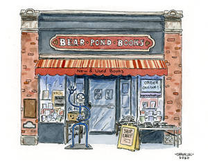 Bear Pond Books