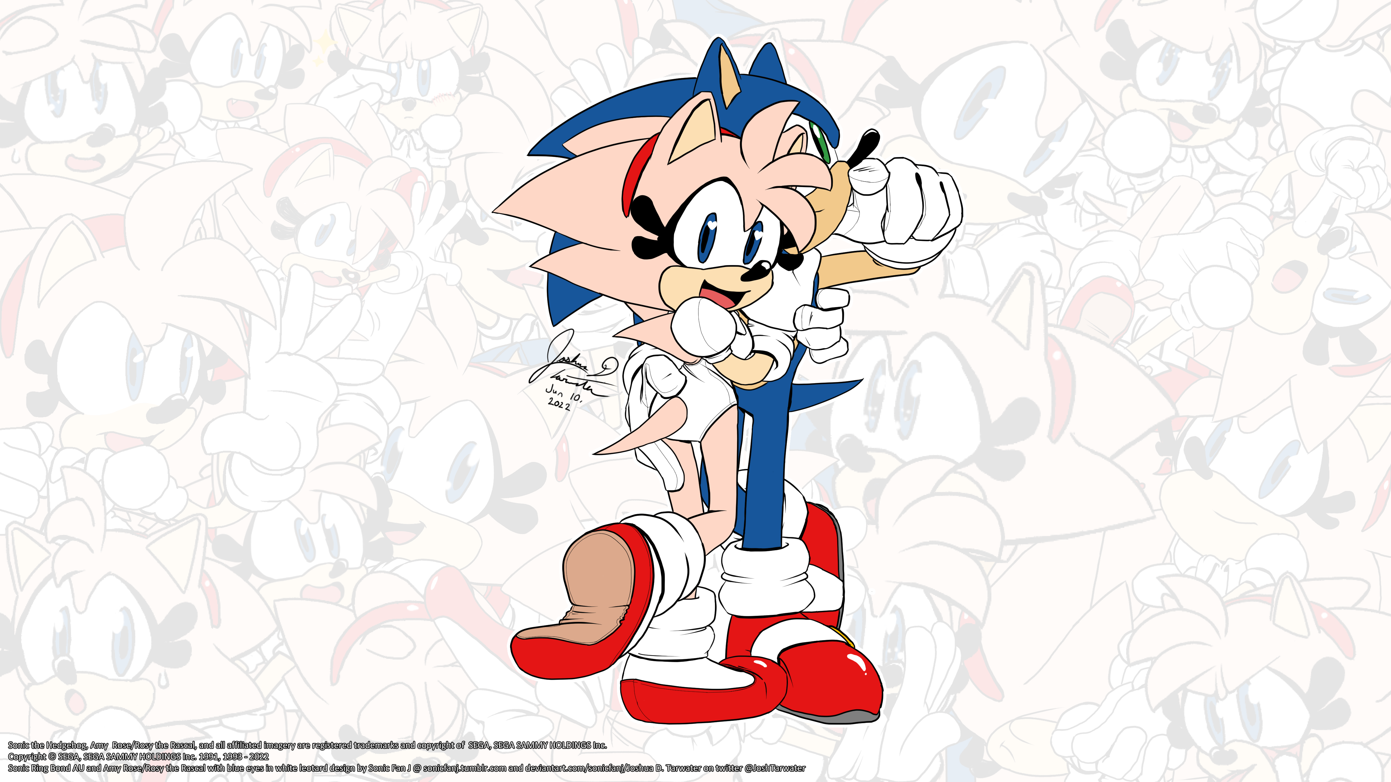 Tumblr in 2023  Sonic the hedgehog, Sonic art, Sonic fan art