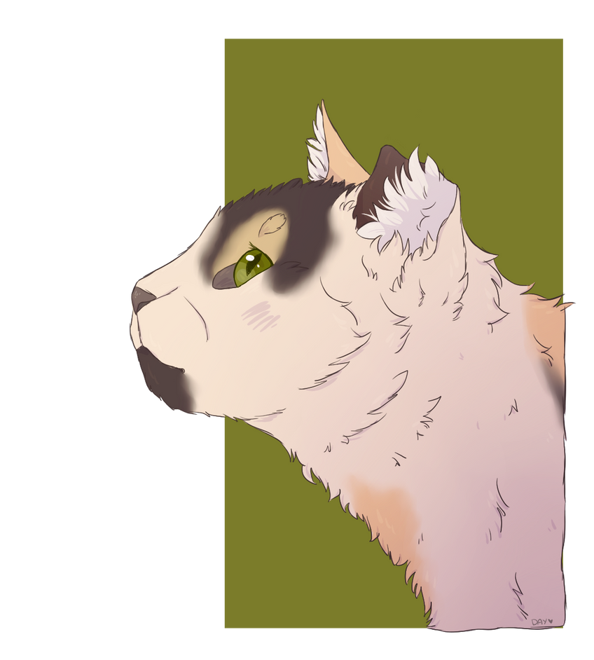 Hickory By Fennelfence On DeviantArt hickory-by-fennelfence-on-deviantart