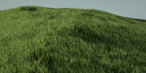 Grass - Octane