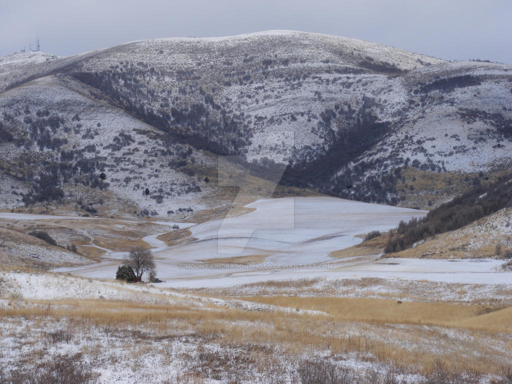 Sardine Canyon Weather Cam Real-Time Monitoring Sardine Canyon Weather Cam Real-Time Monitoring