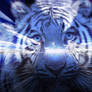 blue tiger