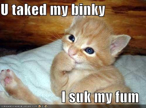Cute-Funny-Kitten by A-Quiet-Reflection on DeviantArt Cute-Funny-Kitten by A-Quiet-Reflection on DeviantArt