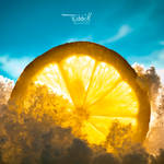 lemonlight by TobbiH