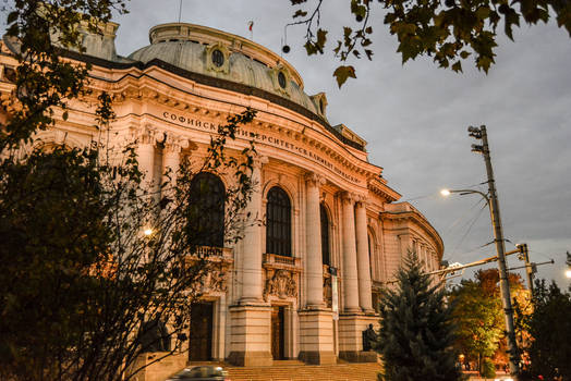 Sofia university