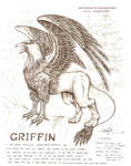 griffin by artstain
