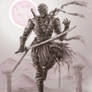 Ninja Mummy