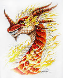 Fire Dragon Head - SALAMANDER