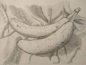 Banana Still Life Sketch