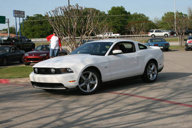 2010 Mustang