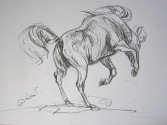 horse drawings